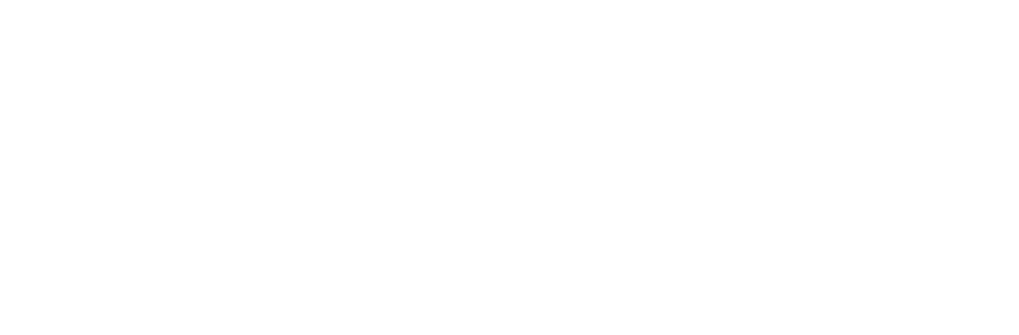 ng-logo